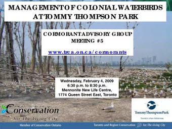 MANAGE  ME  NT  OF  COL  ONIAL  WAT  E  RBIRDS  AT  T  OMMY T  HOMPSON PARK  CORMORANT  ADVISORY