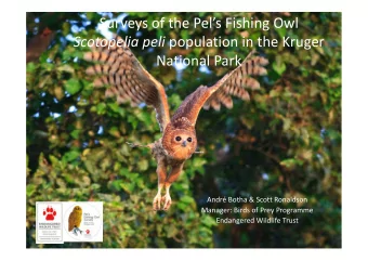 Surveys of the Pels Fishing Owl Scotopelia peli population in the Kruger  National Park  Andr