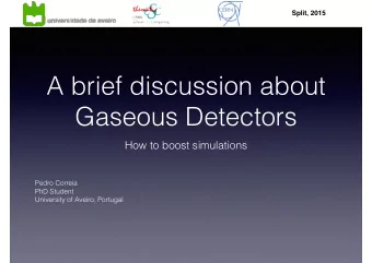 A brief discussion about  Gaseous Detectors  How to boost simulations  Pedro Correia  PhD Student
