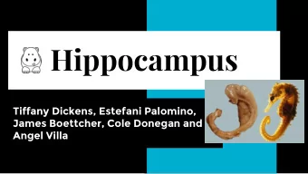 Hippocampus  Tiffany Dickens, Estefani Palomino,  James Boettcher, Cole Donegan and  Angel Villa