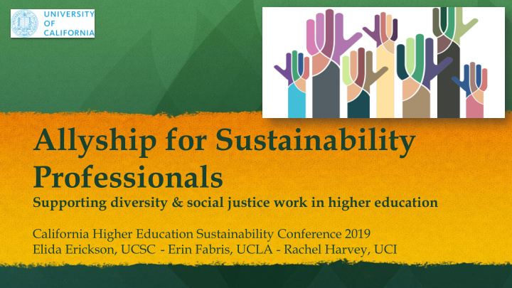 allyship for sustainability professionals