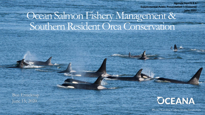 ocean salmon fishery management