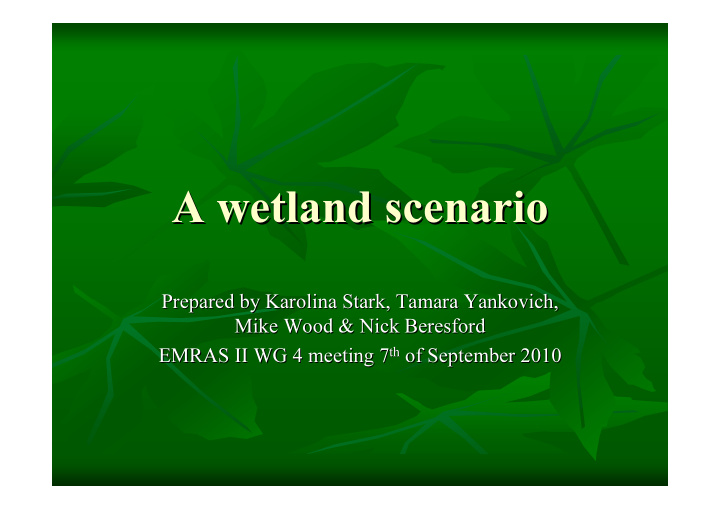 a wetland scenario a wetland scenario