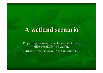 A wetland scenario  A wetland scenario  Prepared by Karolina Stark, Tamara Yankovich,  Prepared by