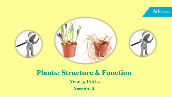 plants structure function