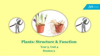 Plants: Structure &amp; Function  Year 3, Unit 4  Session 2  Unit 4  Session 2  Workbooks  page 9