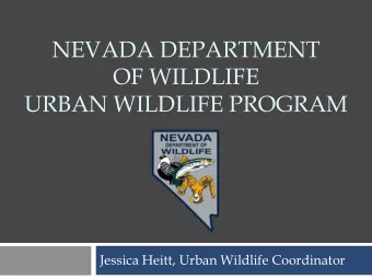 NEVADA DEPARTMENT  OF WILDLIFE  URBAN WILDLIFE PROGRAM  Jessica Heitt, Urban Wildlife Coordinator