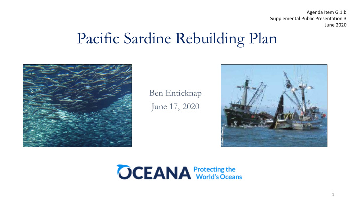 pacific sardine rebuilding plan