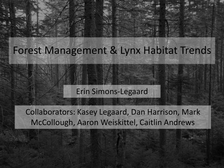 forest management lynx habitat trends