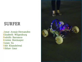 SURFER  Josue  Araujo Hernandez  Elisabeth  Wilgenburg  Rodolfo  Barranco  Kristen  Biermayer