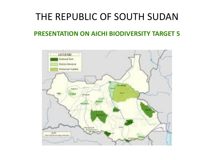 the republic of south sudan