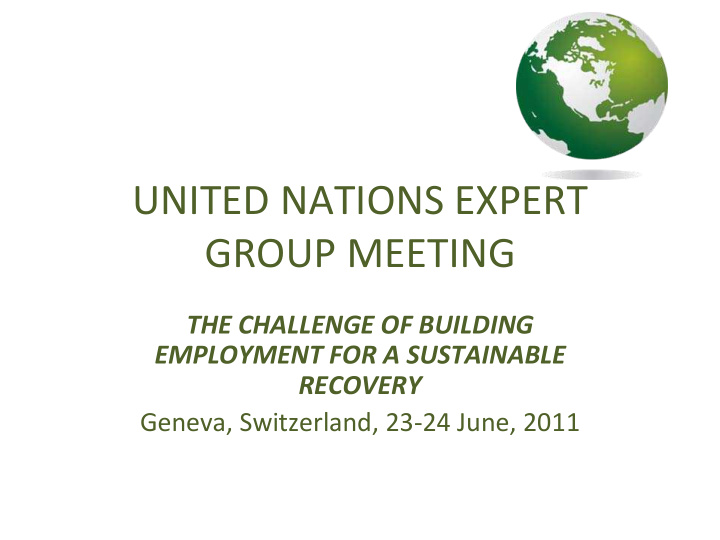 united nations expert group meeting the challenge of