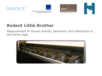 Rodent Little Brother  Measurement of mouse activity, behaviour and interaction in the home cage