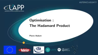 Optimisation :  The Hadamard Product  Pierre Aubert  The Hadamard product  = x i  y i ,  i