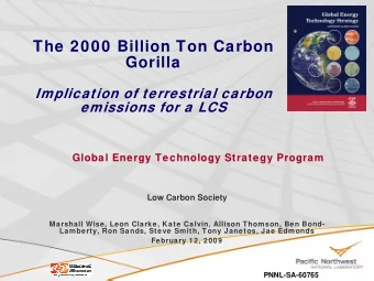The 2000 Billion Ton Carbon  Gorilla  Implication of terrestrial carbon  emissions for a LCS