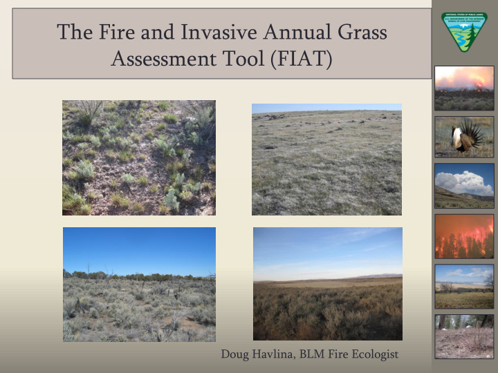 the fire and invasive annual grass