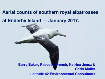 Aerial counts of southern royal albatrosses at Enderby Island  January 2017 .  Barry Baker,
