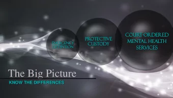 The Big Picture  KNOW THE DIFFERENCES  Cour  r  t  t-Or  Order  dered  ed  Protec  ective  e  Men