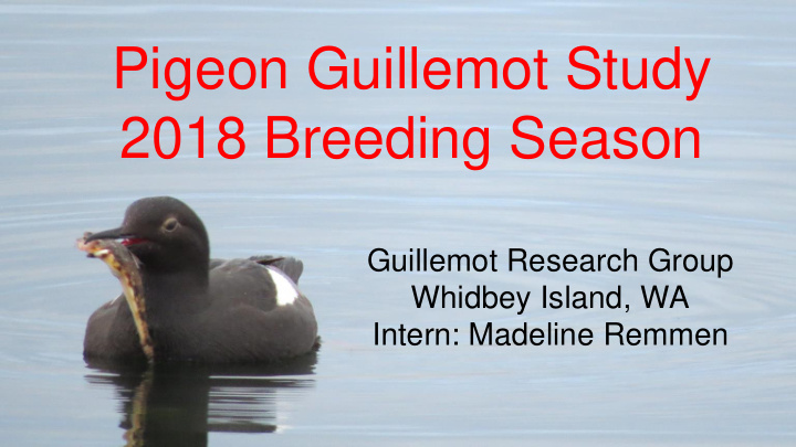 2018 breeding season