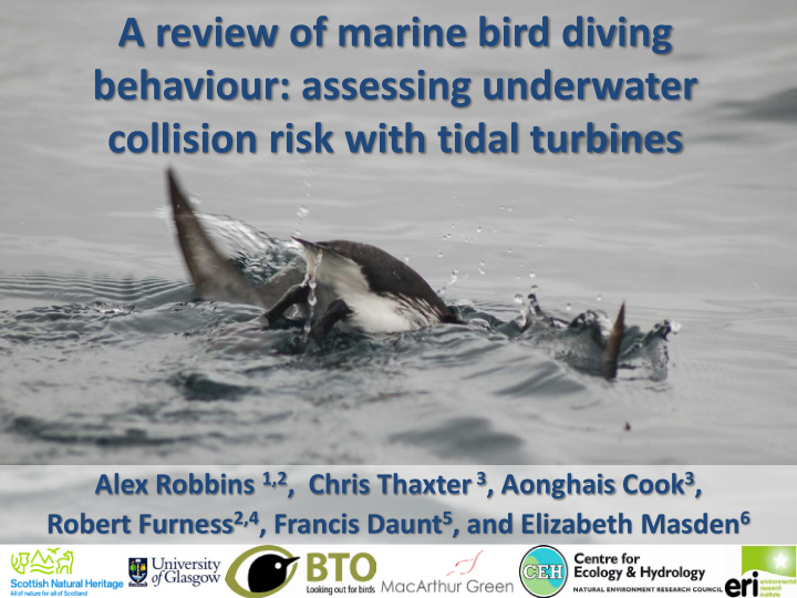 a review of marine bird diving