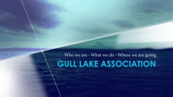 Who we are - What we do - Where we are going  Gull Lake Association  Who We Are  What We Do