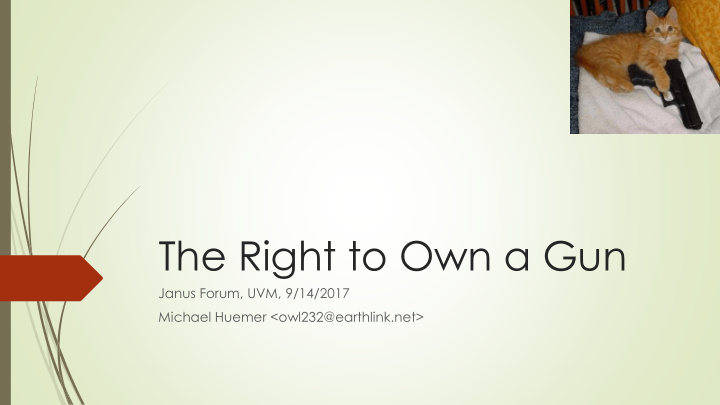 the right to own a gun