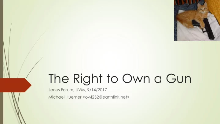 the right to own a gun