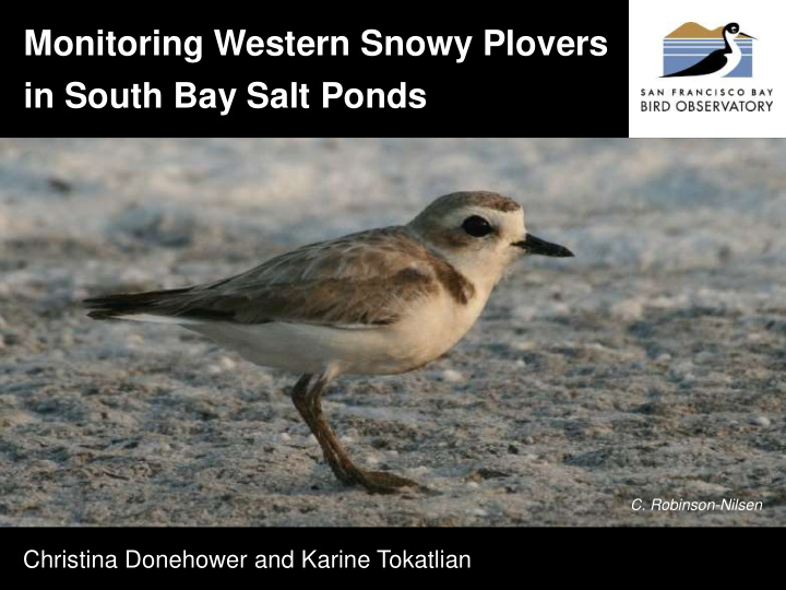 in south bay salt ponds