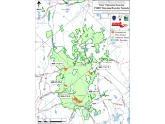 Whitehall Road lot  Red pine and oak/ pine forest types  Vernal pools  Cellar hole  48