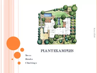 PL  ANT  E  XAMPL  E  S  T  r  e e s  Shr  ubs  Climbings  T S  RE  E Ac e r rub rum / Red Maple /