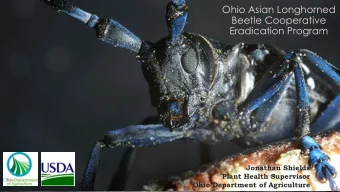 Ohio Asian  Beetle Cooperative  Eradication Program  Longhorned Beetle  Cooperative  Eradication