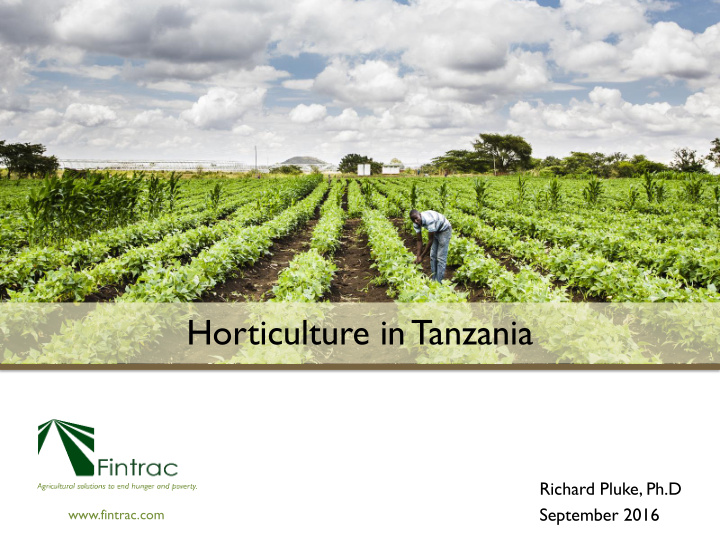 horticulture in tanzania
