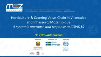 and Inhassoro, Mozambique  A systemic approach and response to COVID19  Dr. Edmundo Werna  Igor