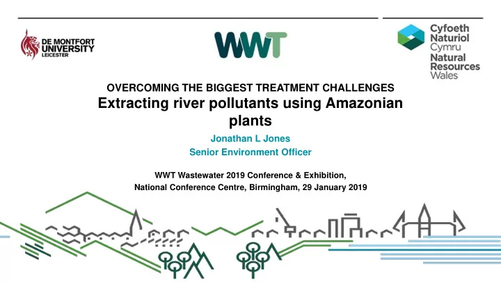 extracting river pollutants using amazonian plants
