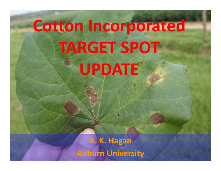 cotton incorporated target spot update