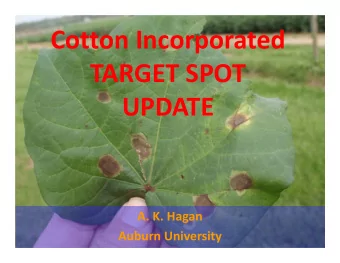 Cotton Incorporated TARGET SPOT  UPDATE A. K. Hagan Auburn University TARGET SPOT Target Spot