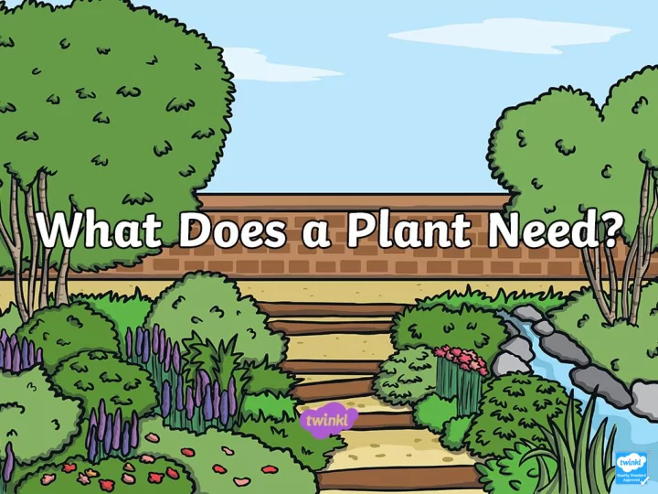 parts of a plant