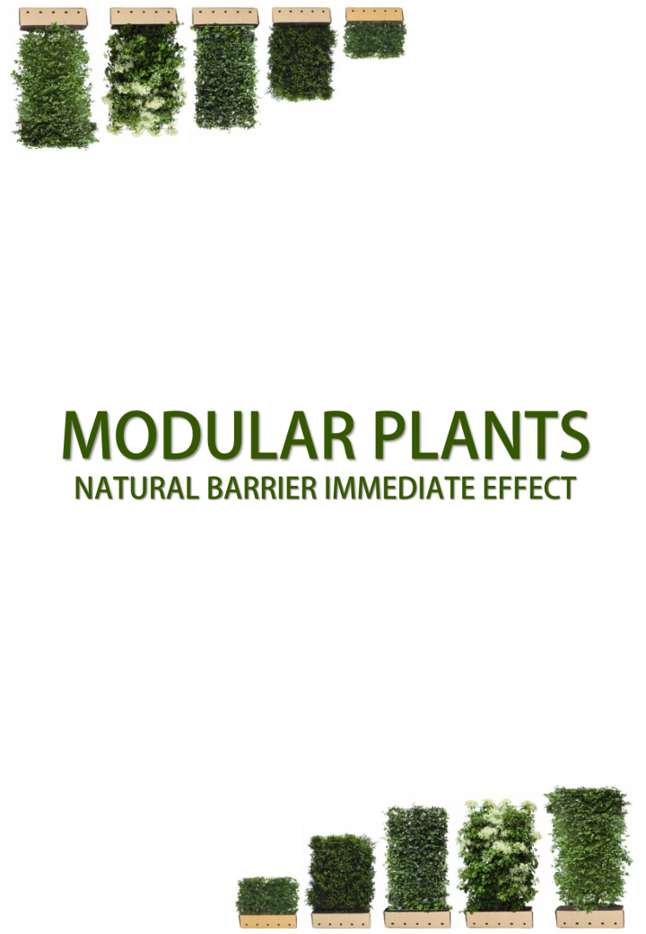 immediate effect with modular plants