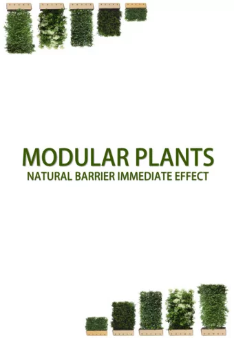 IMMEDIATE EFFECT WITH MODULAR PLANTS Modulesof evergreen, deciduousleaf and climbing plants   A