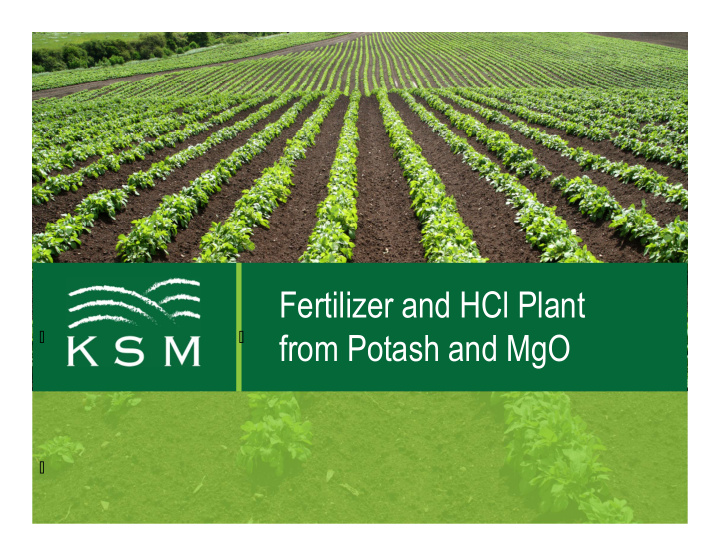 fertilizer and hcl plant from potash and mgo
