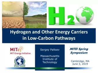Hydrogen and Other Energy Carriers  in Low-Carbon Pathways  MITEI Spring  Sergey Paltsev  Symposium