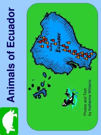 Animals of Ecuador  by Katherine Williams  Photos and Text  hotel workers  This iguana  park. The