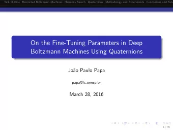 On the Fine-Tuning Parameters in Deep  Boltzmann Machines Using Quaternions  Jo  ao Paulo Papa