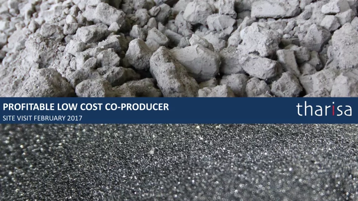 profitable low cost co producer