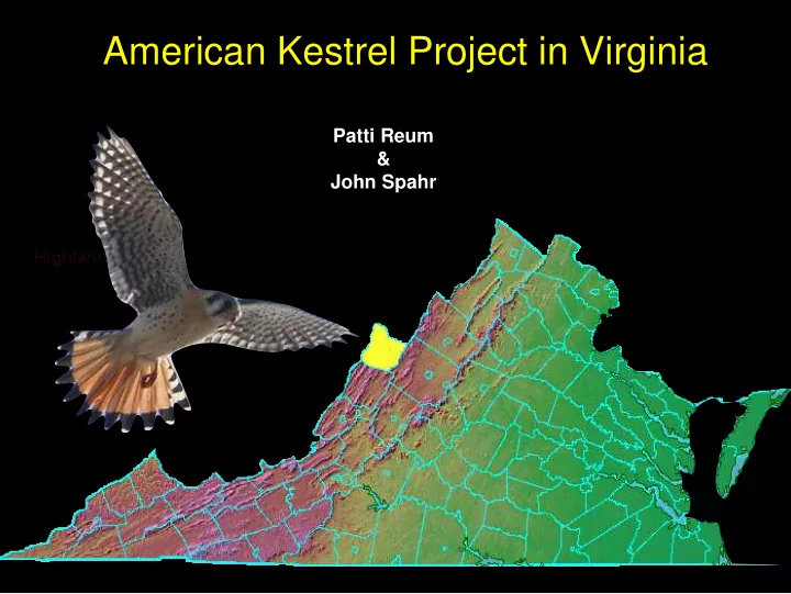 american kestrel project in virginia