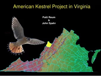 American Kestrel Project in Virginia  Patti Reum  &amp;  John Spahr American Kestrel Nesting Box