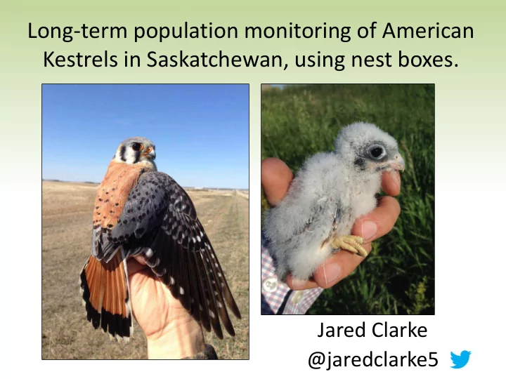 long term population monitoring of american kestrels in