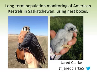Long-term population monitoring of American  Kestrels in Saskatchewan, using nest boxes.  Jared