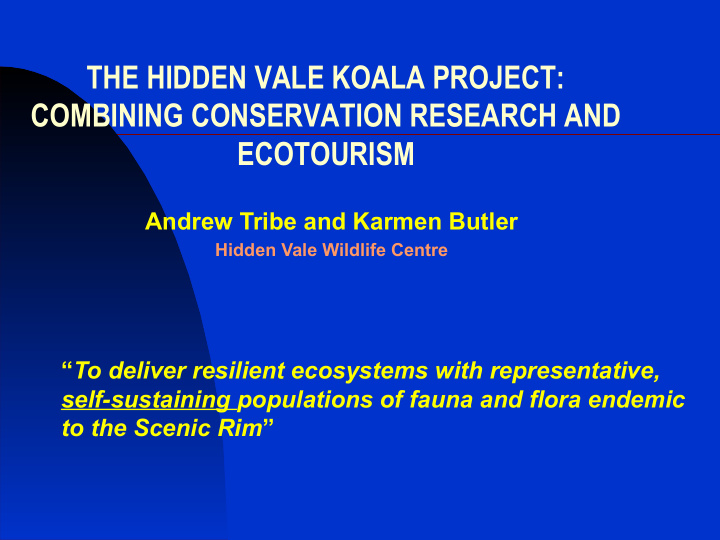 the hidden vale koala project combining conservation