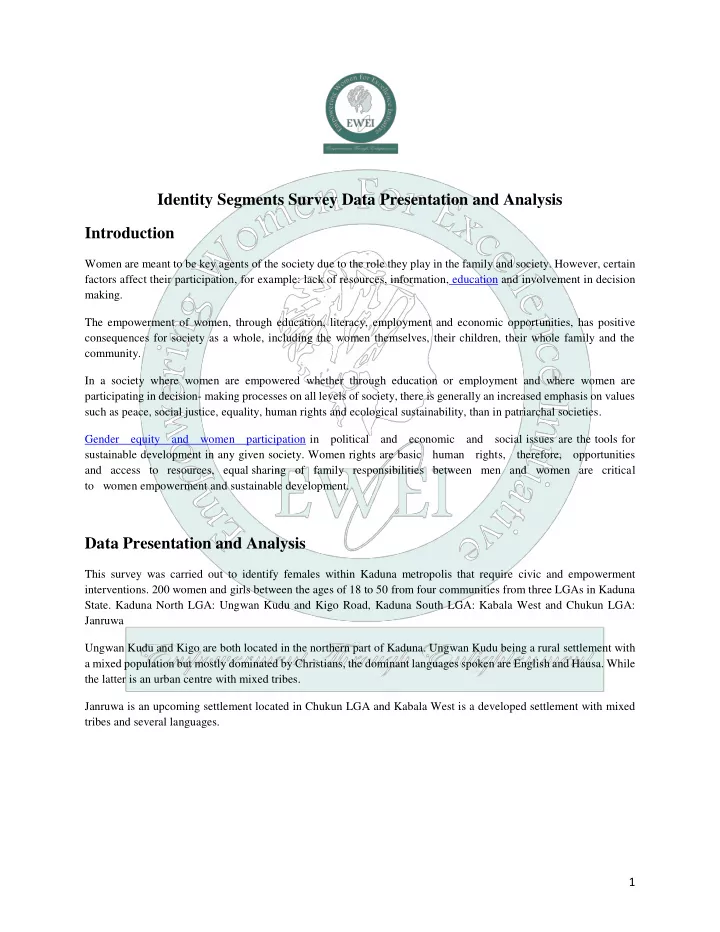 identity segments survey data presentation and analysis